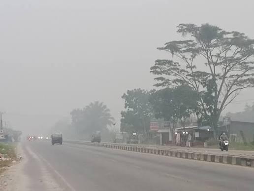 BMKG Waspadai Kabut Asap di Riau, 96 Hotspot Terdeteksi hingga Senin Malam